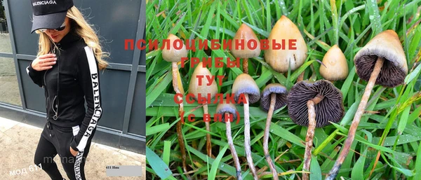 соль курить ск Алзамай