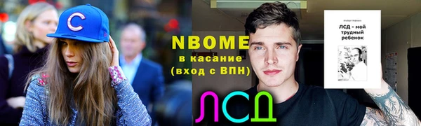 дживик Абинск