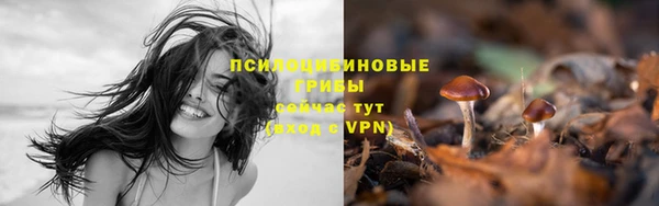соль курить ск Алзамай