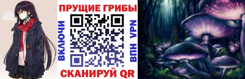 Галлюциногенные грибы MAGIC MUSHROOMS  блэк спрут tor  сайты даркнета наркотические препараты  Сорочинск 