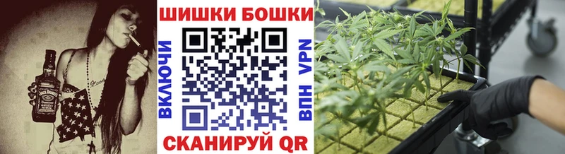 где купить наркоту  Сорочинск  Бошки Шишки гибрид 